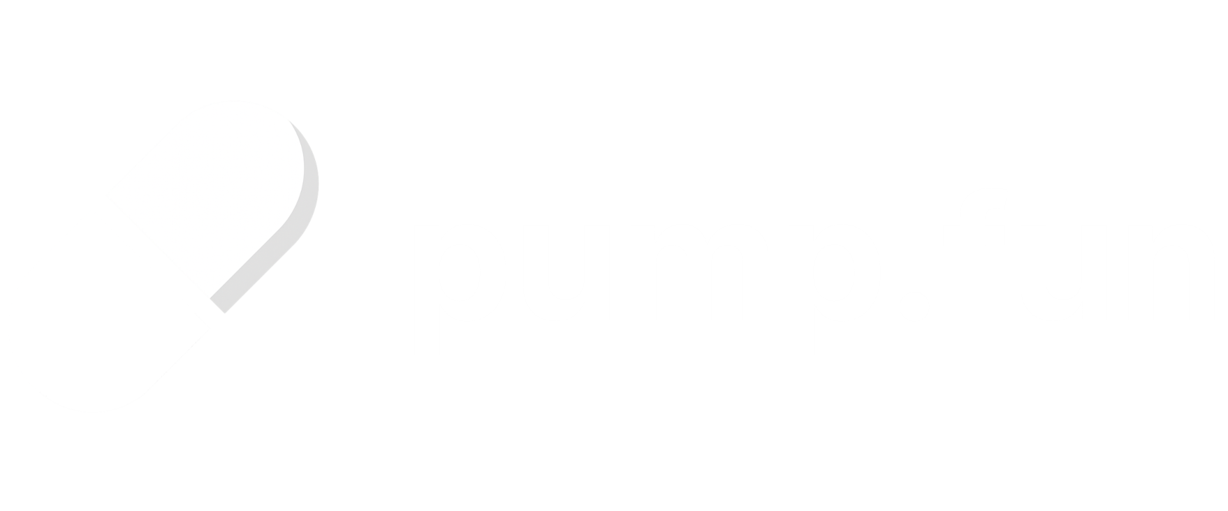 pump.fun logo